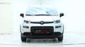 Fiat Panda 4x2 FireFly Hybrid 70 Weiß - thumbnail 11