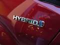 Toyota C-HR 1.8 Hybrid 2wd e-cvt my18 Full Led/Navi/Adas/Full Rosso - thumbnail 9
