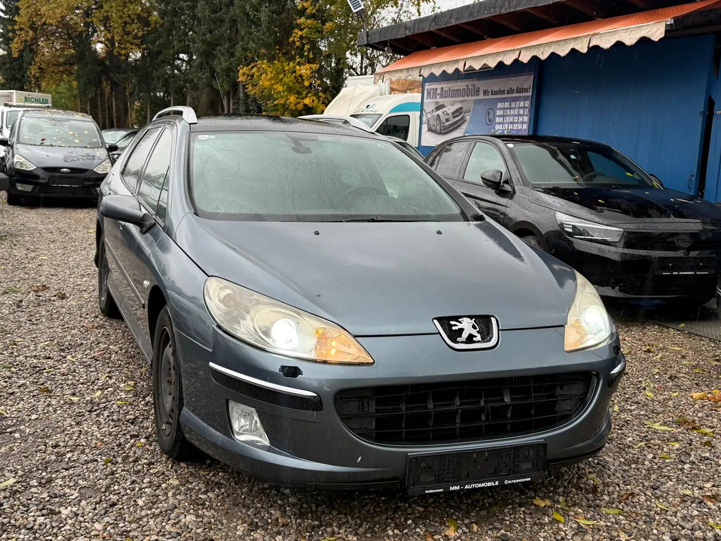 Peugeot 407 Platinum Grau - 1
