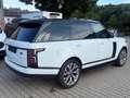 Land Rover Range Rover Hybrid VOUGE Weiß - thumbnail 5