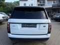 Land Rover Range Rover Hybrid VOUGE Weiß - thumbnail 6