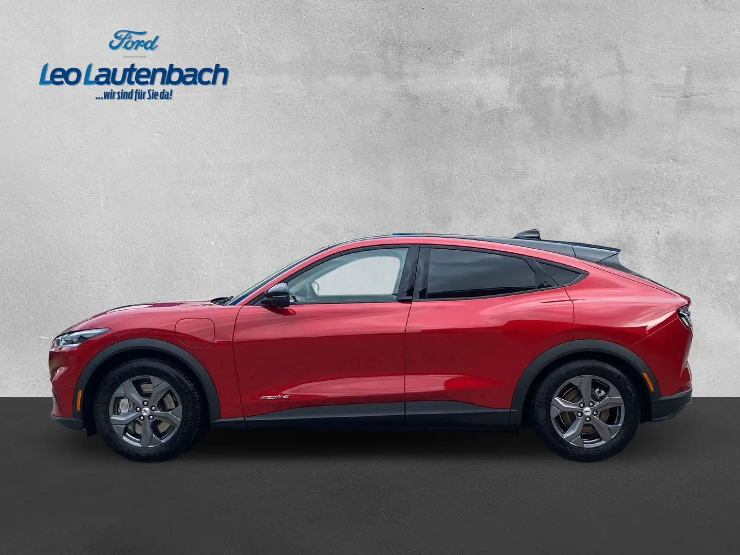 Ford Mustang Mach-E Basis - 2