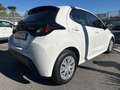 Toyota Yaris Yaris IV 2020 1.5h Active full hybrid Bianco - thumbnail 5