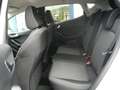 Ford Fiesta Active *Alu,CD,Winterpaket* Wit - thumbnail 14