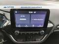 Ford Fiesta Active 1.0 ecoboost s&s 95cv my20.25 Grigio - thumbnail 12