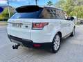 Land Rover Range Rover Sport 3.0TDV6 HSE Aut. Blanco - thumbnail 6