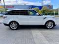 Land Rover Range Rover Sport 3.0TDV6 HSE Aut. Blanco - thumbnail 4