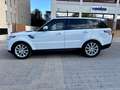 Land Rover Range Rover Sport 3.0TDV6 HSE Aut. Blanco - thumbnail 3