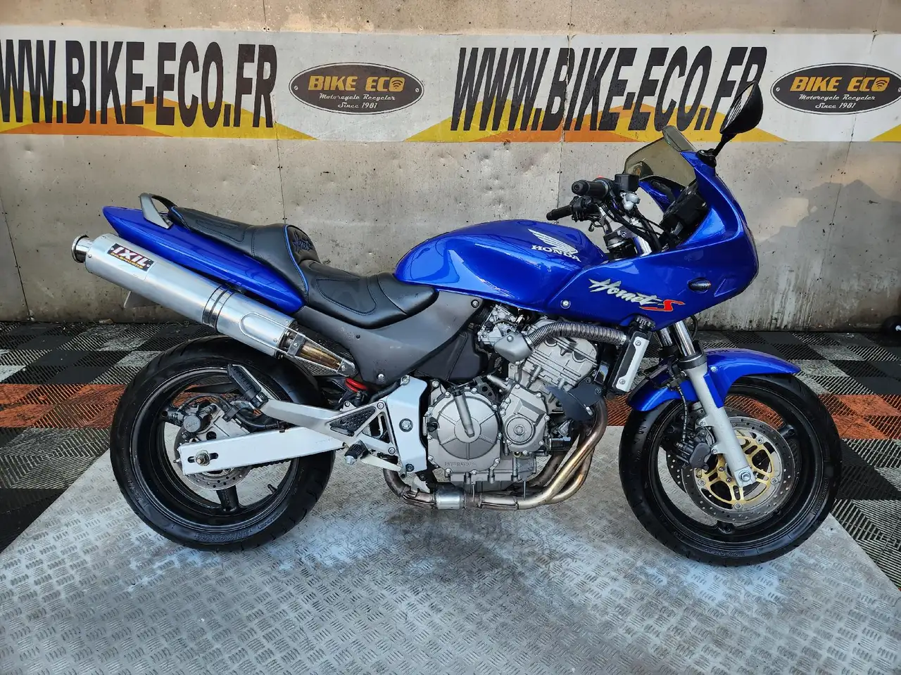 Honda Hornet