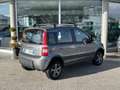 Fiat Panda 4x4 1.2 Climbing 69cv my12 Gris - thumbnail 2