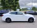 Lexus IS 250 V6 Automatik*LEDER-EURO5-ALU-WR-SHZ-XENON Weiß - thumbnail 6
