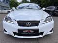 Lexus IS 250 V6 Automatik*LEDER-EURO5-ALU-WR-SHZ-XENON Weiß - thumbnail 7