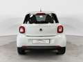 smart forFour forfour 70 1.0 Passion Blanco - thumbnail 3