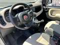 Fiat Panda 0.9 t.air turbo Easy 85cv E6 TENUTA BENISSIMO Blanc - thumbnail 4