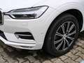 Volvo XC60 Inscription AWD HUD AD StandHZG El. Panodach Navi Weiß - thumbnail 3