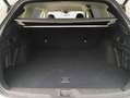 Subaru OUTBACK Outback 2.5i Lineartronic Exclusive Cross Weiß - thumbnail 5