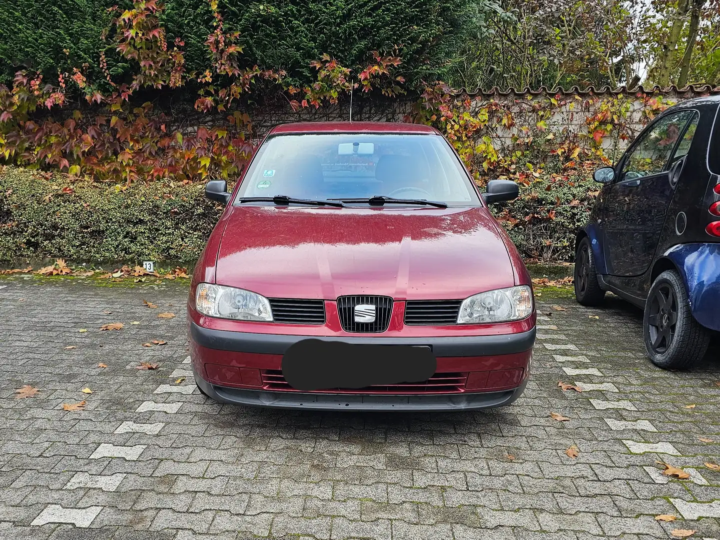 SEAT Ibiza Ibiza 1.4 Select Red - 1