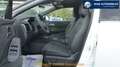 Nissan Qashqai e-Power 190 ch Tekna+ Weiß - thumbnail 12