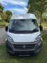Fiat Ducato Ducato Maxi L5 Autm. Weiß - thumbnail 1