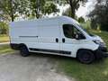 Fiat Ducato Ducato Maxi L5 Autm. Weiß - thumbnail 2