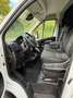 Fiat Ducato Ducato Maxi L5 Autm. Weiß - thumbnail 7