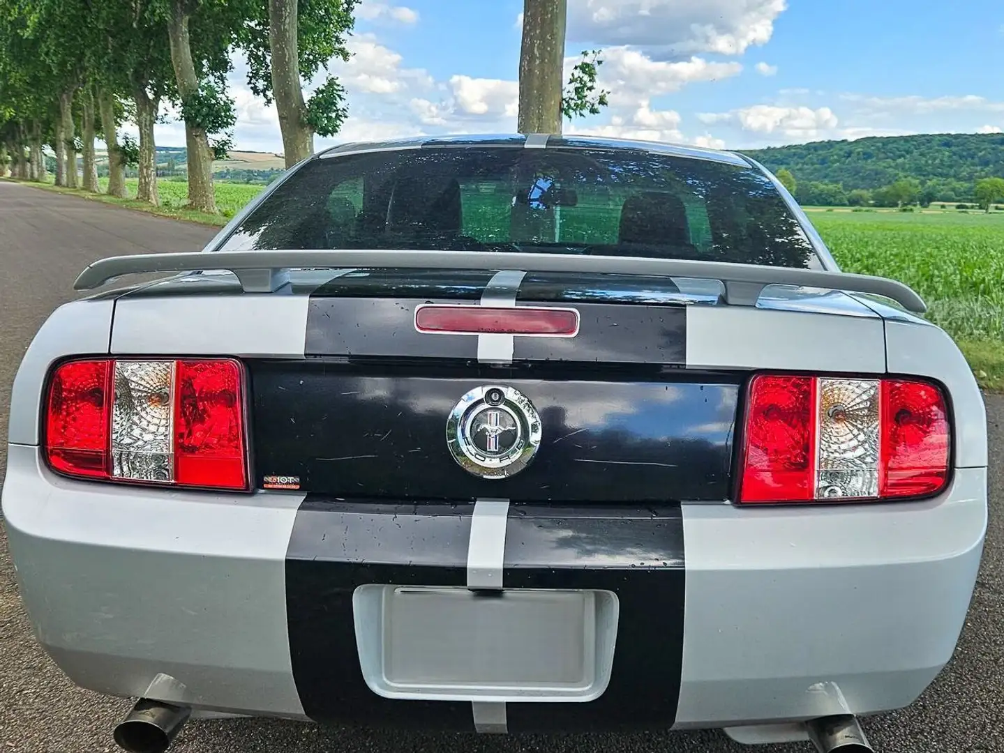 Ford Mustang Grigio - 2