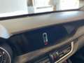 Alfa Romeo Stelvio Stelvio 2.2 Turbodiesel 160 CV AT8 RWD Business Gris - thumbnail 17