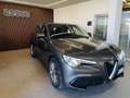 Alfa Romeo Stelvio Stelvio 2.2 Turbodiesel 160 CV AT8 RWD Business Grigio - thumbnail 2