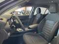 Alfa Romeo Stelvio Stelvio 2.2 Turbodiesel 160 CV AT8 RWD Business Grigio - thumbnail 11