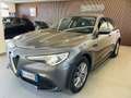 Alfa Romeo Stelvio Stelvio 2.2 Turbodiesel 160 CV AT8 RWD Business Grigio - thumbnail 1