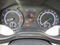 Skoda Karoq Clever 1.5TSI 110kW DSG StHZ Varioflex Blau - thumbnail 16