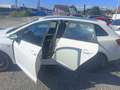 SEAT Ibiza Ibiza ST 1,6 TDI Weiß - thumbnail 4