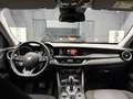 Alfa Romeo Stelvio 2.2 t Executive Q4 190cv Verde - thumbnail 10