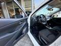 Mazda 2 1.5 Skyactiv-G Comfort Apple carplay| Cruise contr Weiß - thumbnail 14