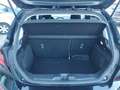 Ford Fiesta 7ª serie 1.1 75 CV GPL 5 porte Titanium Noir - thumbnail 11
