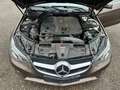 Mercedes-Benz E 220 CDI  E -Klasse Cabrio  BlueTec / d Marrón - thumbnail 19