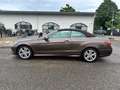 Mercedes-Benz E 220 CDI  E -Klasse Cabrio  BlueTec / d Marrón - thumbnail 8