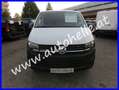 Volkswagen T6 Kasten Allrad - Heckdrehtüren - Klima Weiß - thumbnail 2