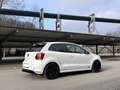 Volkswagen Polo R WRC Street, Stage 2, KW V3, HG Motorsport, Clubsport Weiß - thumbnail 4
