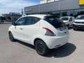 Lancia Ypsilon 1.0 firefly hybrid Platino *OK NEOPATENTATI* Bianco - thumbnail 13