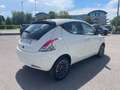 Lancia Ypsilon 1.0 firefly hybrid Platino *OK NEOPATENTATI* Bianco - thumbnail 10