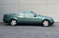 Mercedes-Benz CLK 320 Elegance Green - thumbnail 5