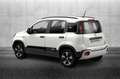 Fiat Panda 1.0 FireFly S&S Hybrid Pandina Bianco - thumbnail 1