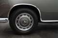 Mercedes-Benz 220 S Ponton Cabriolet Gris - thumbnail 18
