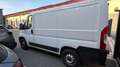 Fiat Ducato 33 2.3 MJT 140CV PM-TN Furgone Blanc - thumbnail 2
