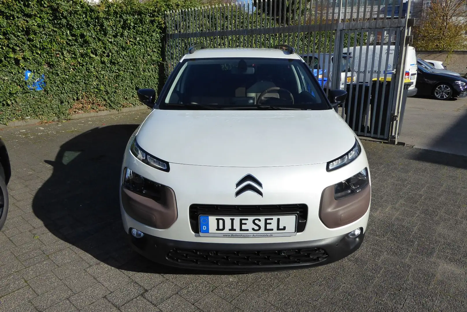 Citroen C4 Cactus Shine Edition Navi SHZ Weiß - 2