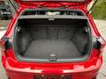 Volkswagen Golf 1.5 eTSI DSG I R Line int+ext I Carplay I Led 2023 Rojo - thumbnail 25