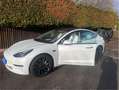 Tesla Model 3 Model 3  Allrad Dual Motor Performance Ryzen Weiß - thumbnail 8