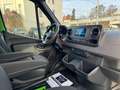 Mercedes-Benz Sprinter III 317 CDI HA 9G-TRONIC* 360° Kamera Grün - thumbnail 13