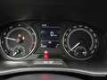 Skoda Fabia Fabia Clever 1.0 TSI  5v / Apple Carplay / Cruise  Grau - thumbnail 13